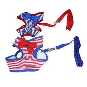 Striped Harness with Leash